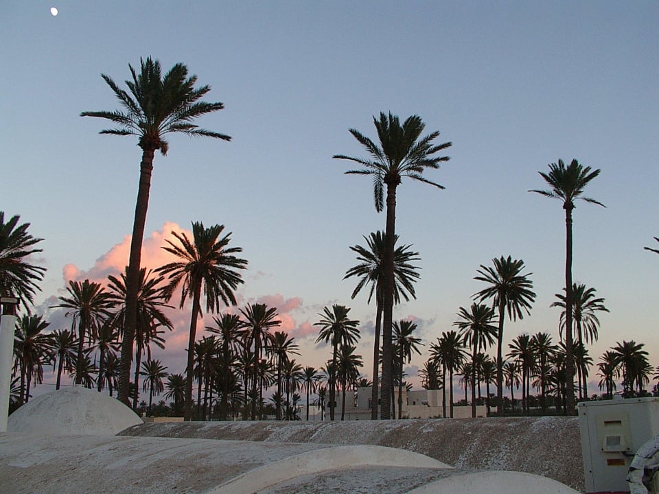 Fin de l'après-midi Menzel El Kateb