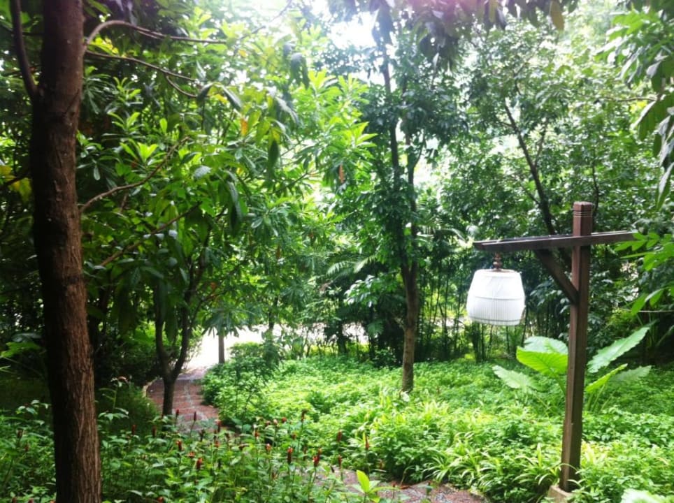 Gang zum Frühstücksbuffet Hotel Pimalai Resort & Spa