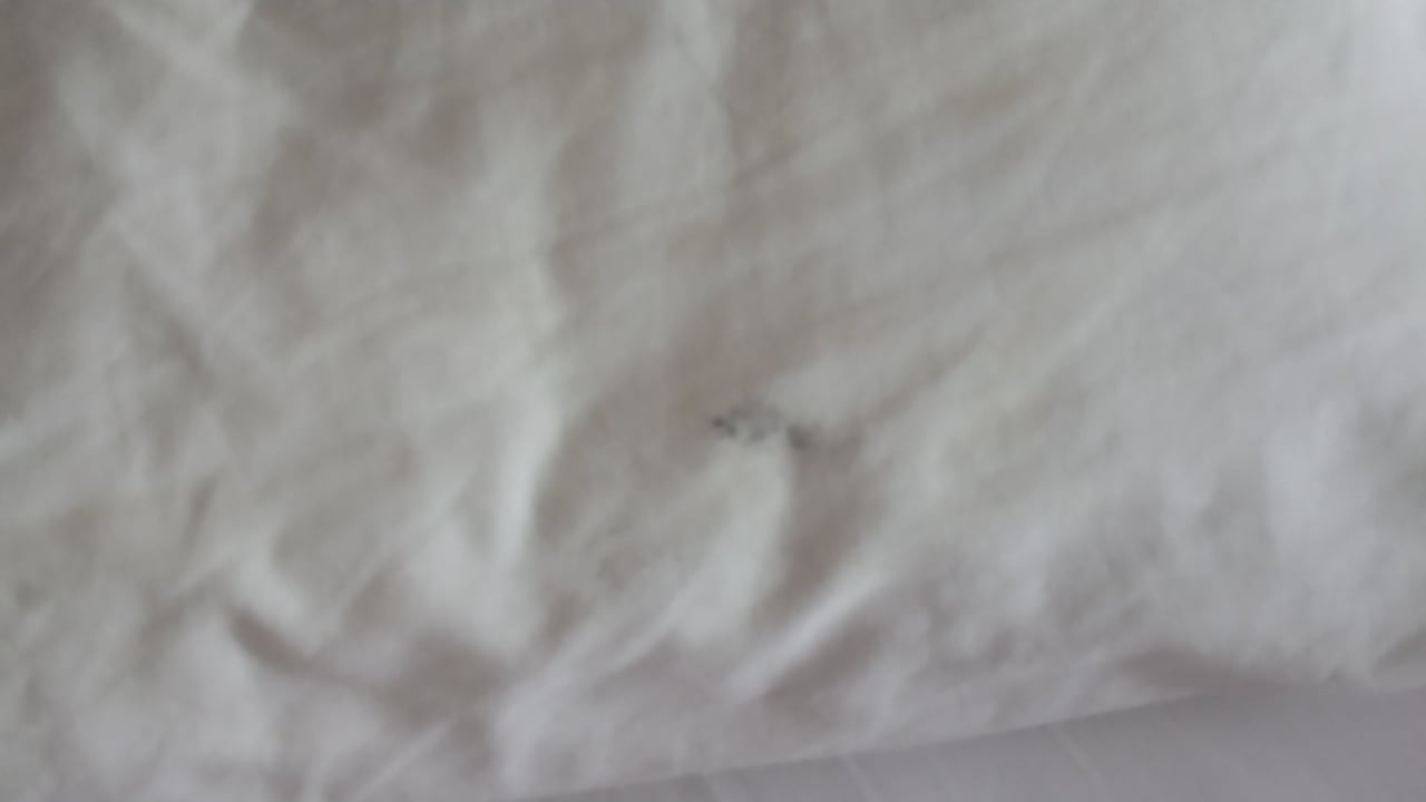 Flecken auf der Bettwäsche Hotel Exe Vienna