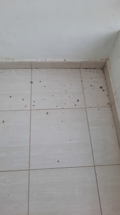 Zimmer Shams Safaga Resort