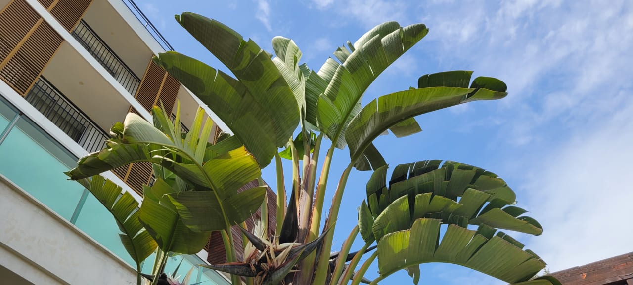 Sonstiges TUI MAGIC LIFE Beldibi +16