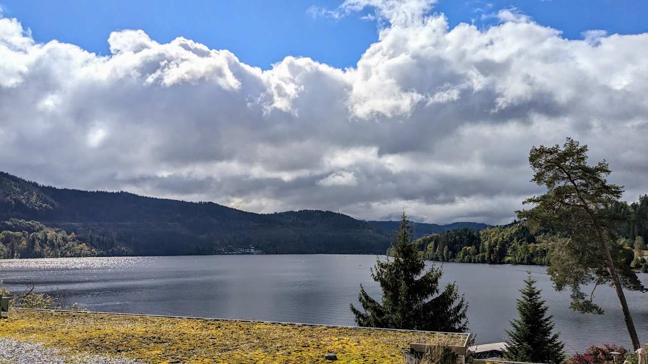 Ausblick Treschers Schwarzwald Hotel