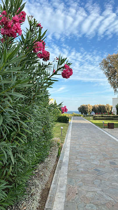 Gartenanlage Neptune Luxury Resort