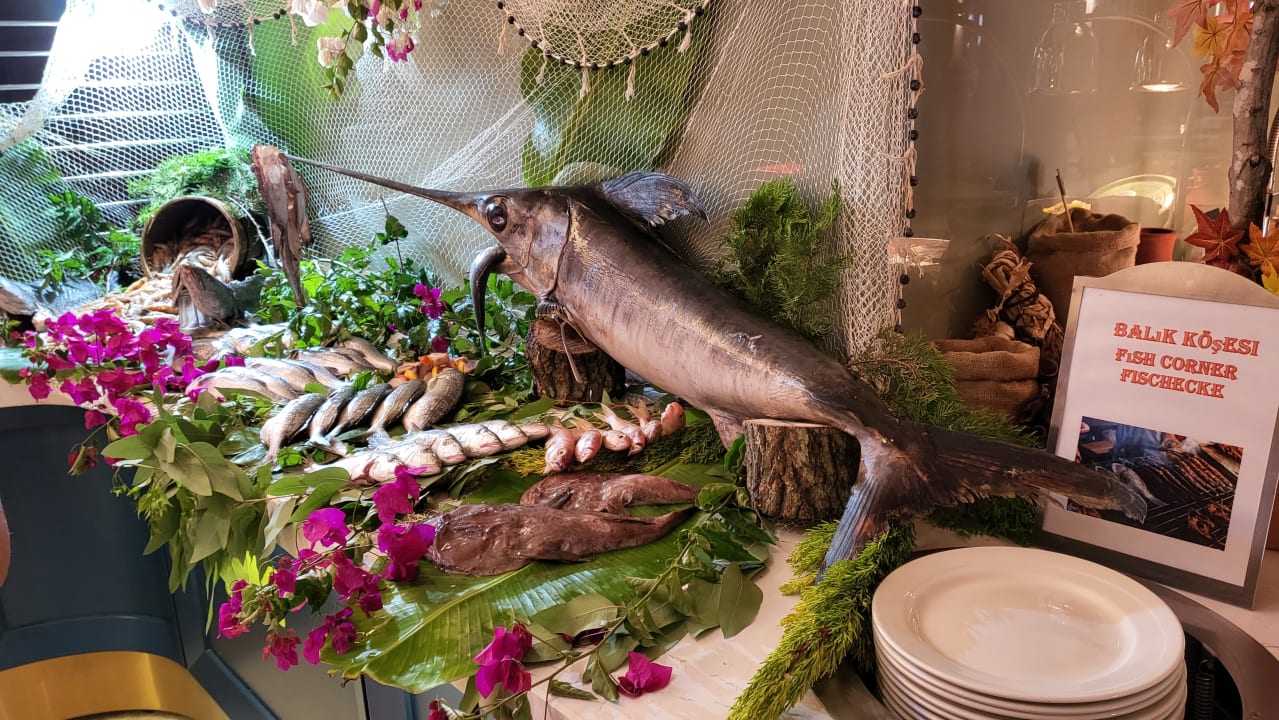 Gastro Seaden Quality Resort & Spa