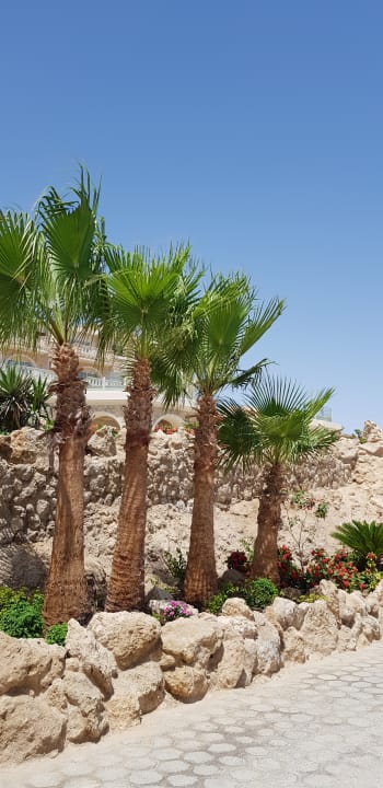 Gartenanlage Pickalbatros Citadel Resort