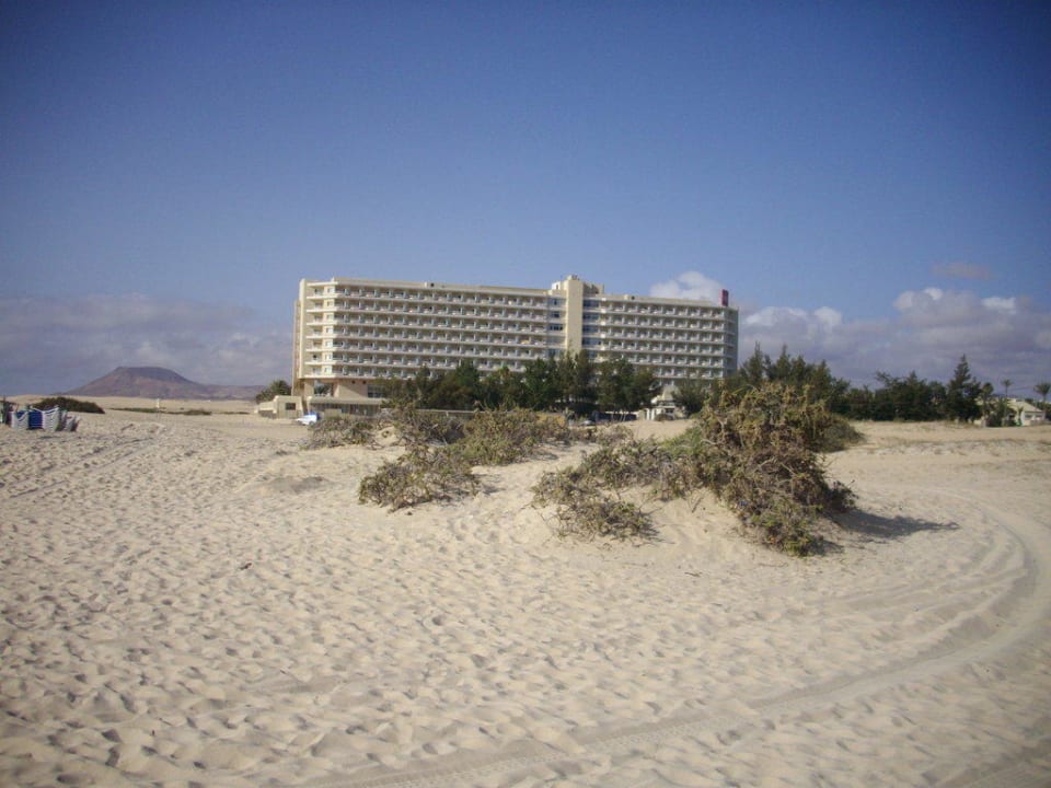 Mitten in den Dünen Hotel Riu Oliva Beach Resort