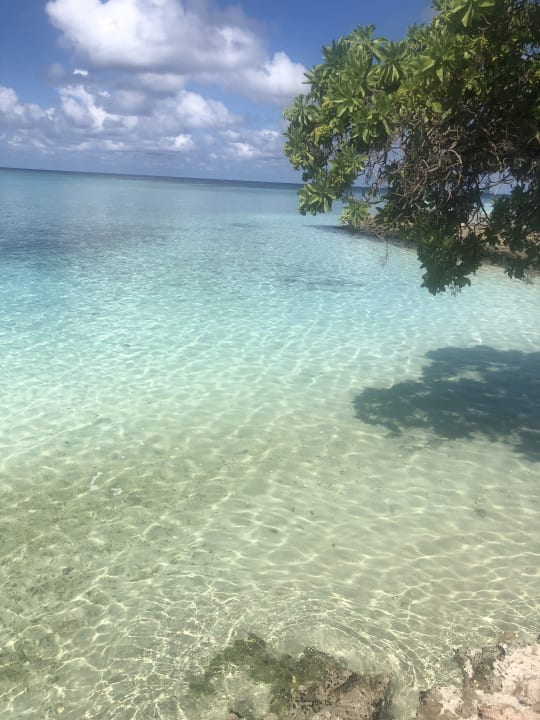 Ausblick Summer Island Maldives