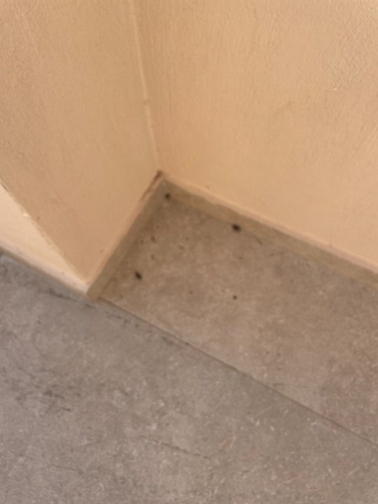 Zimmer Oros Luxury Beach Resort