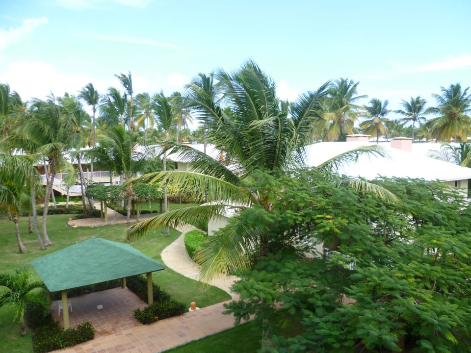 Garten vom Zimmer aus Grand Sirenis Punta Cana Resort & Aquagames