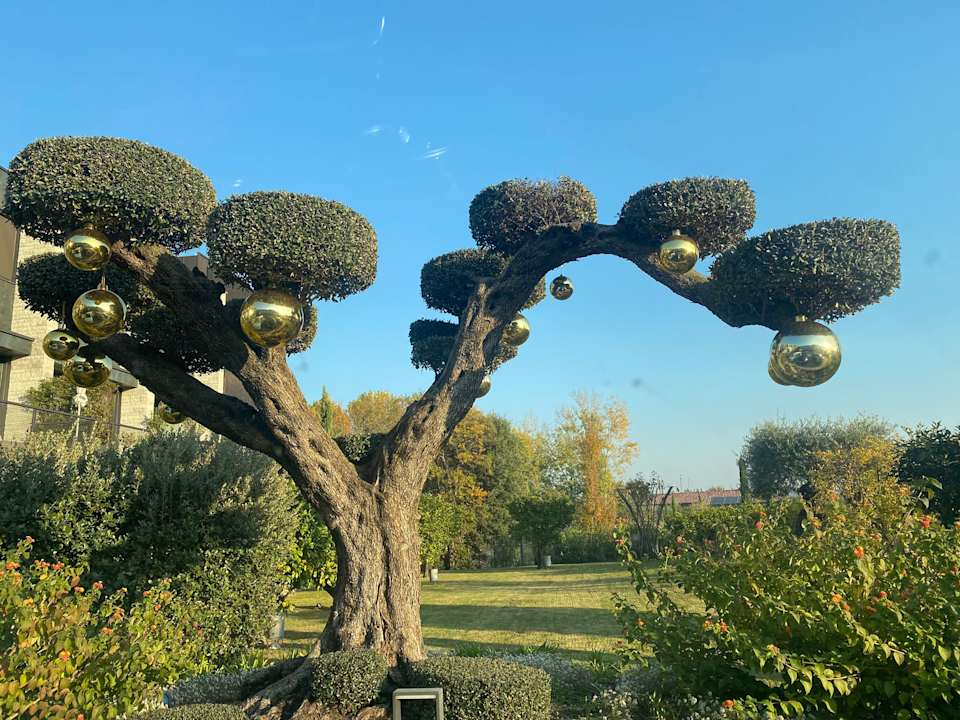 Gartenanlage Quellenhof Luxury Resort Lazise