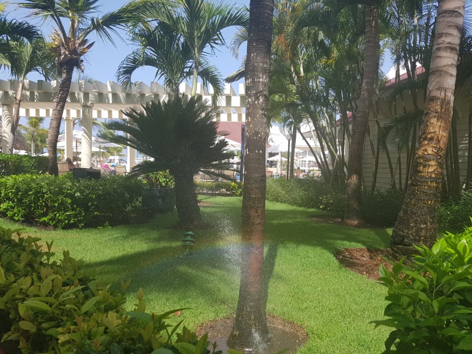 Gartenanlage Bahia Principe Luxury Esmeralda