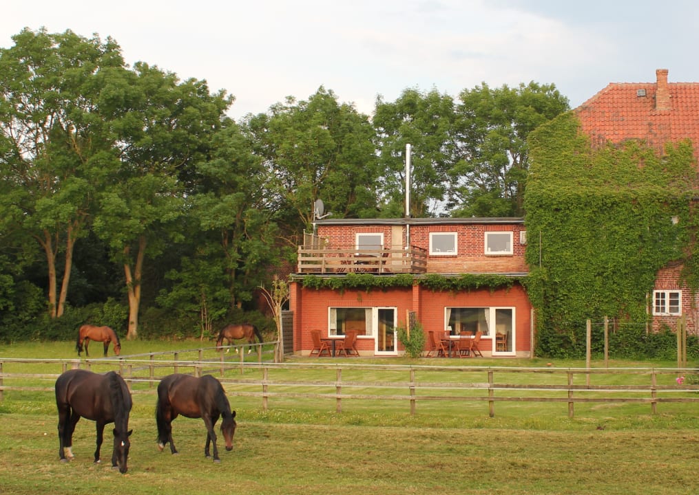 Außenansicht Wintershof Kellenhusen