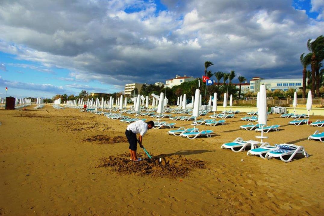 Strand am 12.12.2011 PALOMA Perissia