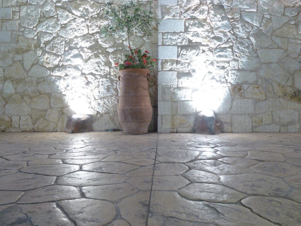 Innenhof Cactus Royal