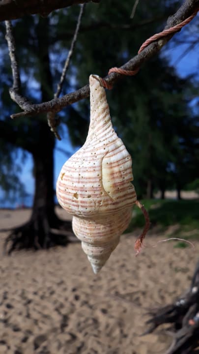 Sonstiges Khaolak Laguna Resort