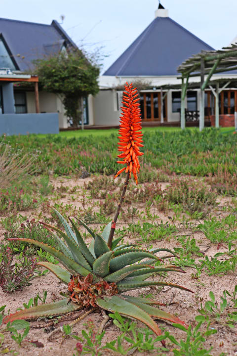 Außenansicht Tortoise Trail Lodge