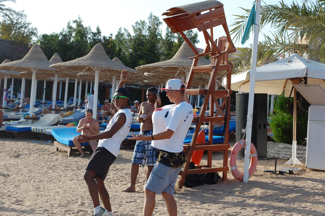 Уроки танца живота Prima Life Makadi Resort
