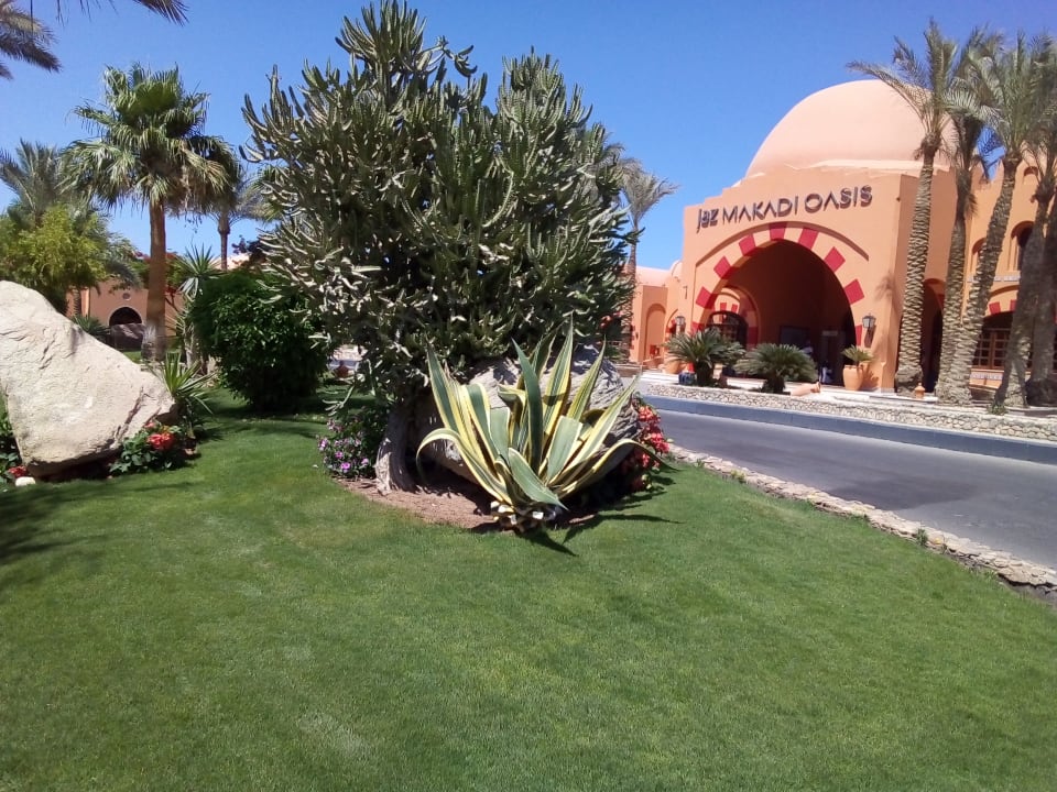 Gartenanlage Jaz Makadi Oasis Resort