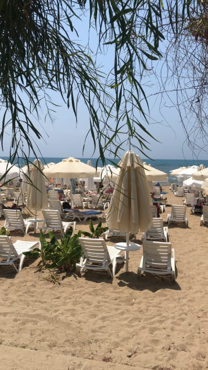 Strand Seaden Corolla Hotel