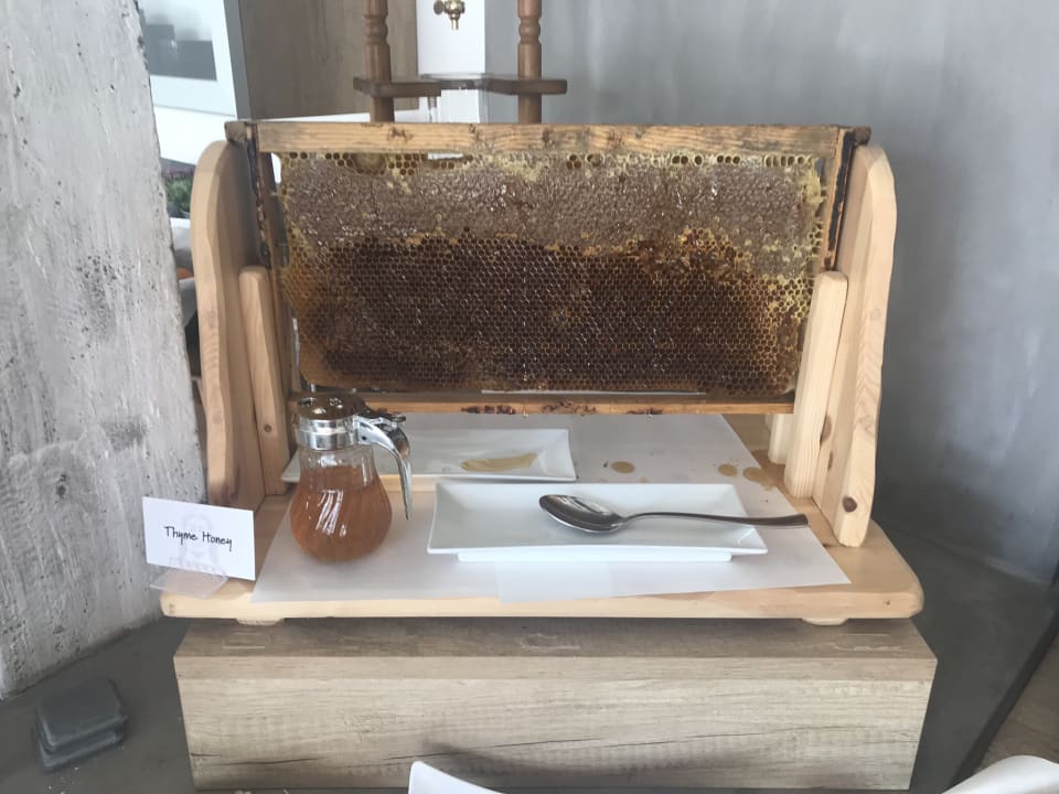 Gastro Kouros Exclusive