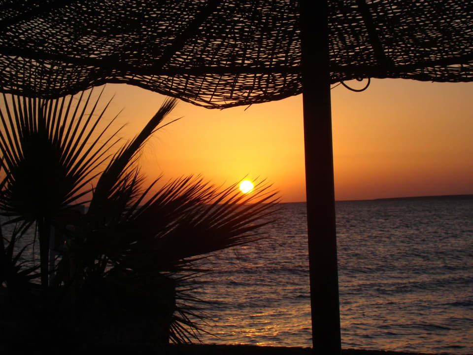 ...einfach nur schööön! Arabia Azur Resort