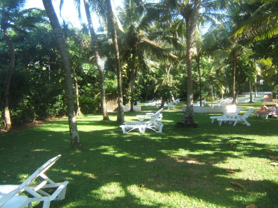 Liegewiese Hotel Lanka Princess Ayurveda