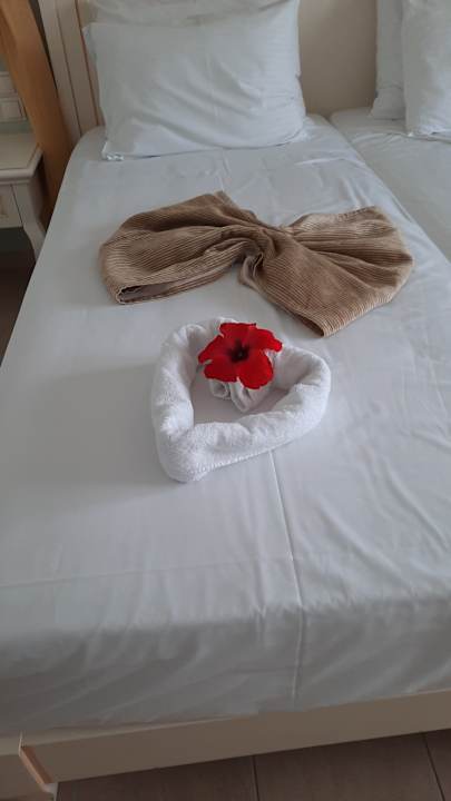 Zimmer Alexander Beach Hotel & Village Resort