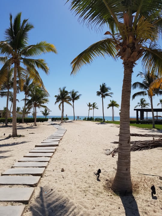 Weg zum Strand Salalah Rotana Resort