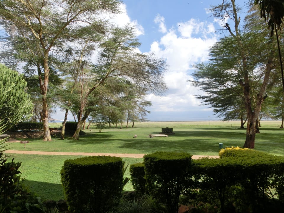 Ausblick auf Kilimandscharo Ol Tukai Lodge