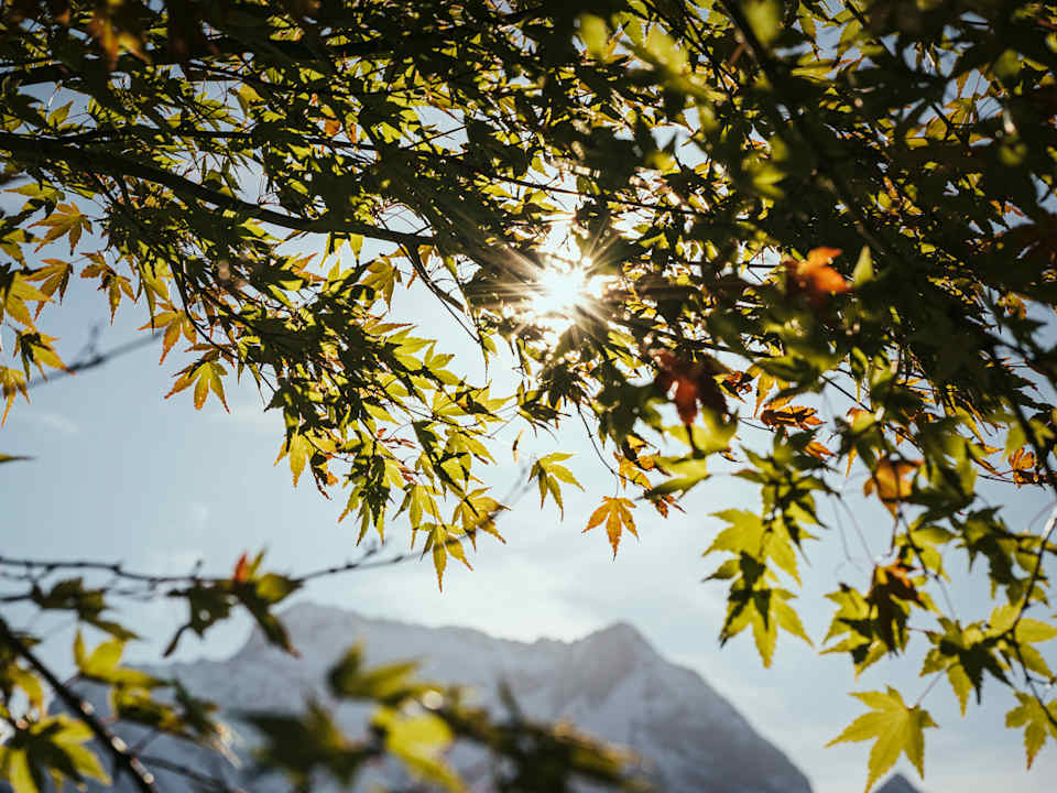 Ausblick Apparthotel Landhaus Veronika