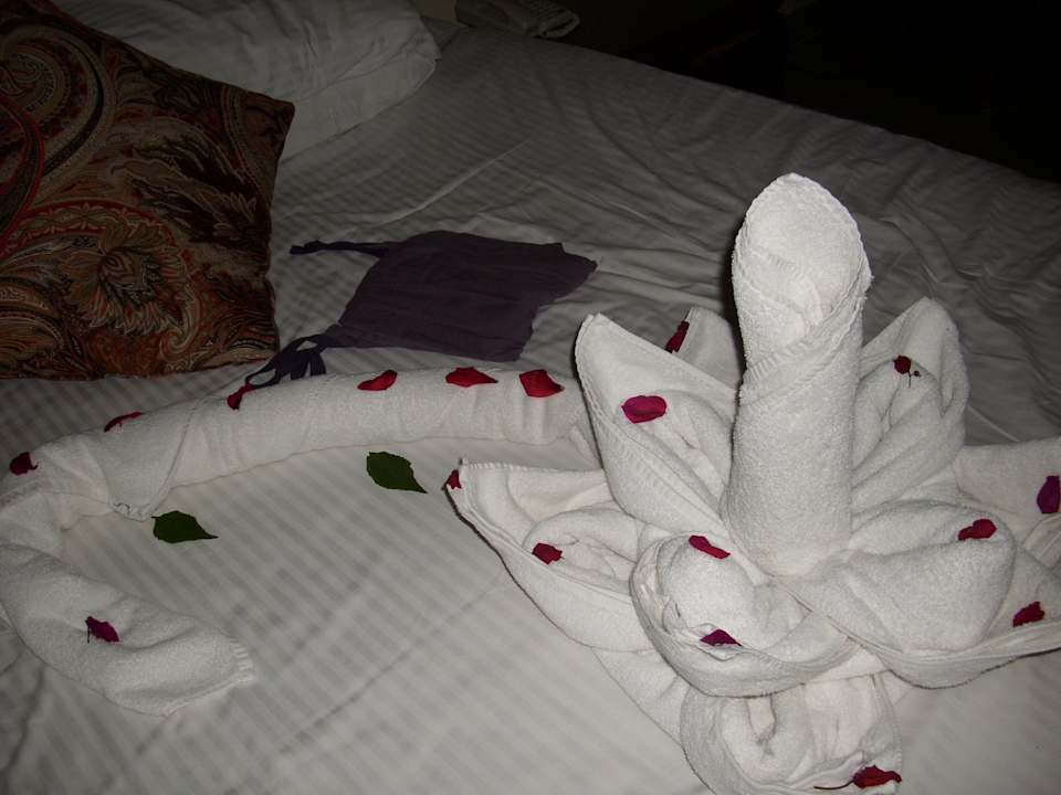 Jeden Tag eine Überraschung Sea Beach Aqua Park Resort Managed by Blue Resorts