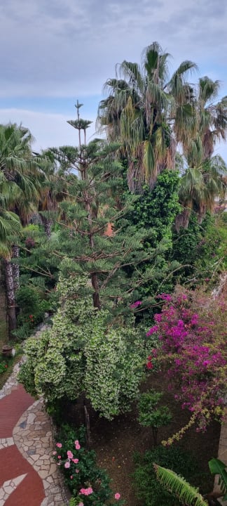 Gartenanlage Hotel Defne Dream