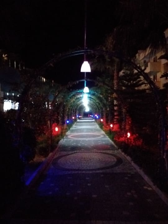 Gartenanlage Dream World Hill Hotel
