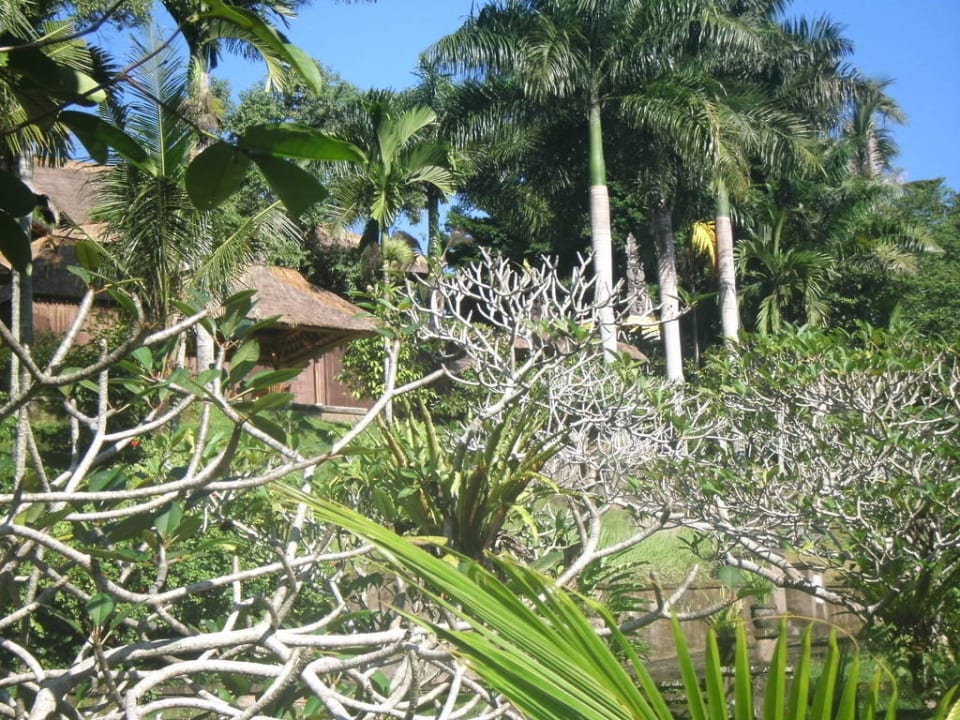 Garten The Payogan Villa Resort & Spa