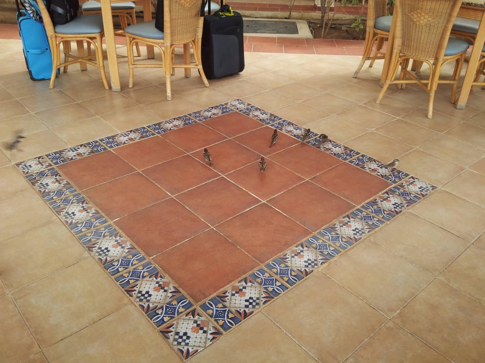 Immer Hungrig Hotel Riu Karamboa