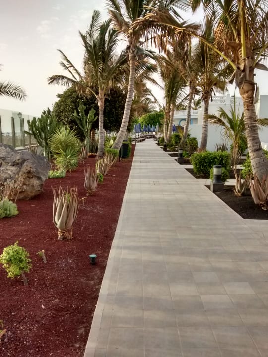 Gartenanlage Hotel Las Costas