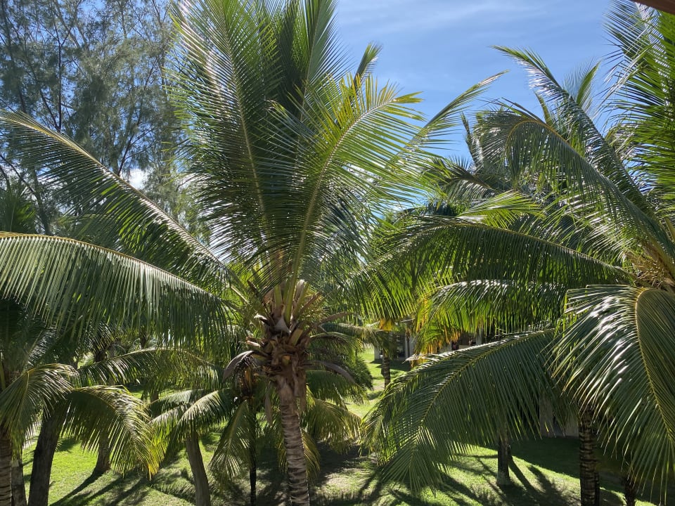 Gartenanlage Crystals Beach Resort Belle Mare, a member of Radisson Individuals
