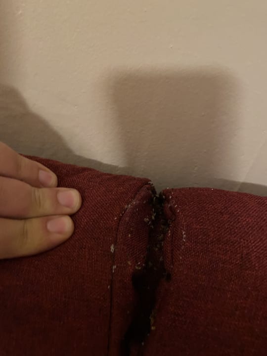 Zimmer Hotel Itzlinger Hof