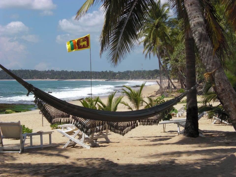 Hängematte am Ibis Strand Ibis Guesthouse