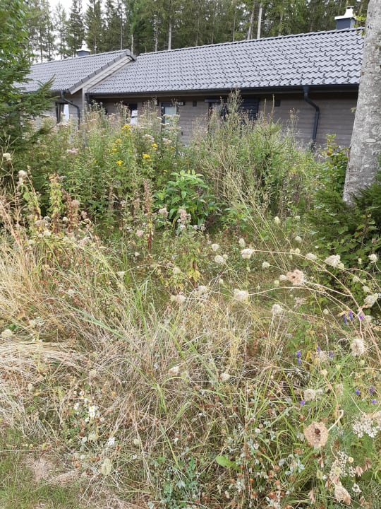 Außenansicht Center Parcs Park Allgäu