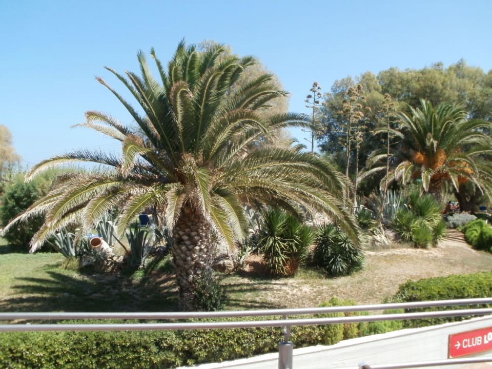 Krásna záhrada Santa Marina Beach