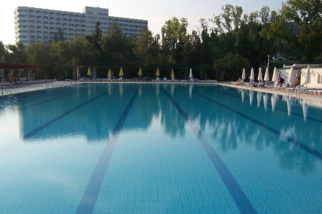 Pool Hotel Athos Palace