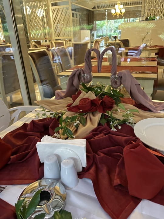 Gastro Well Palace Side