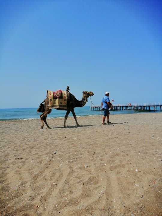 Strand Asteria Family Resort Side