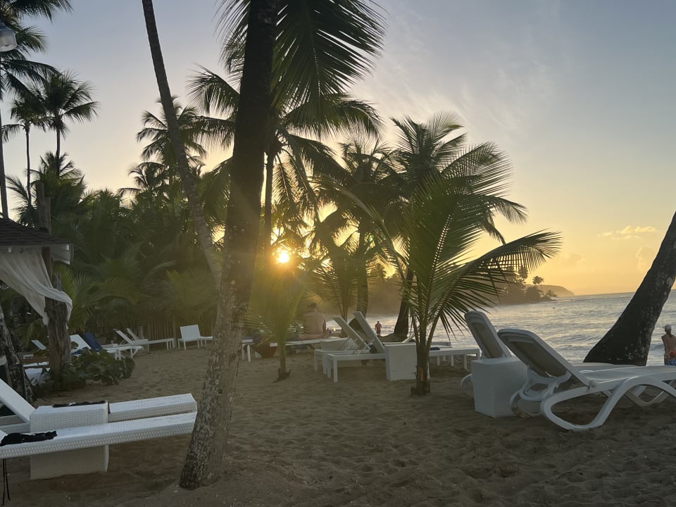Strand Viva V Samana by Wyndham – Adults Only