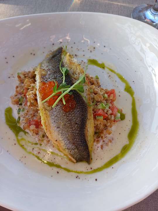 Gastro GRIFID Vistamar