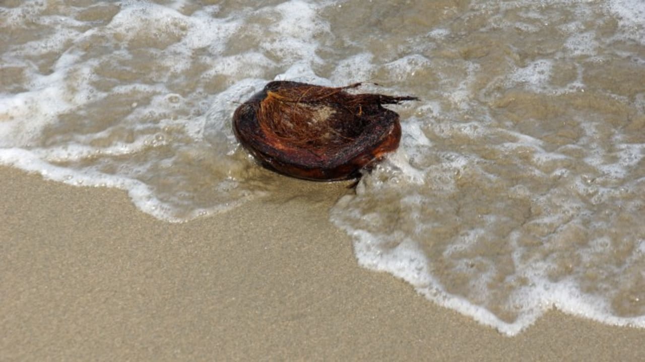 Strand Bahia Principe Grand Samana - Adults Only