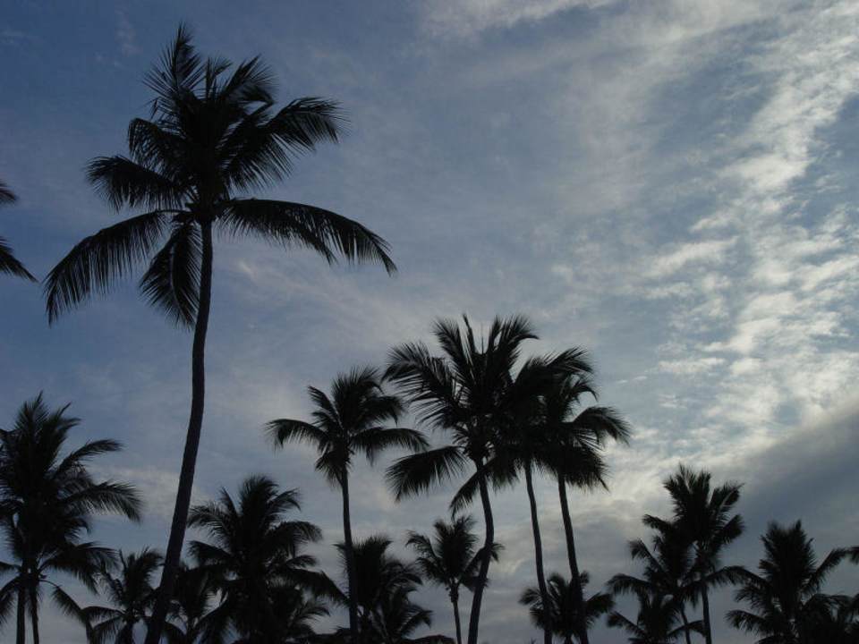 Impressionen am Strand Grand Palladium Select Bávaro Resort & Spa