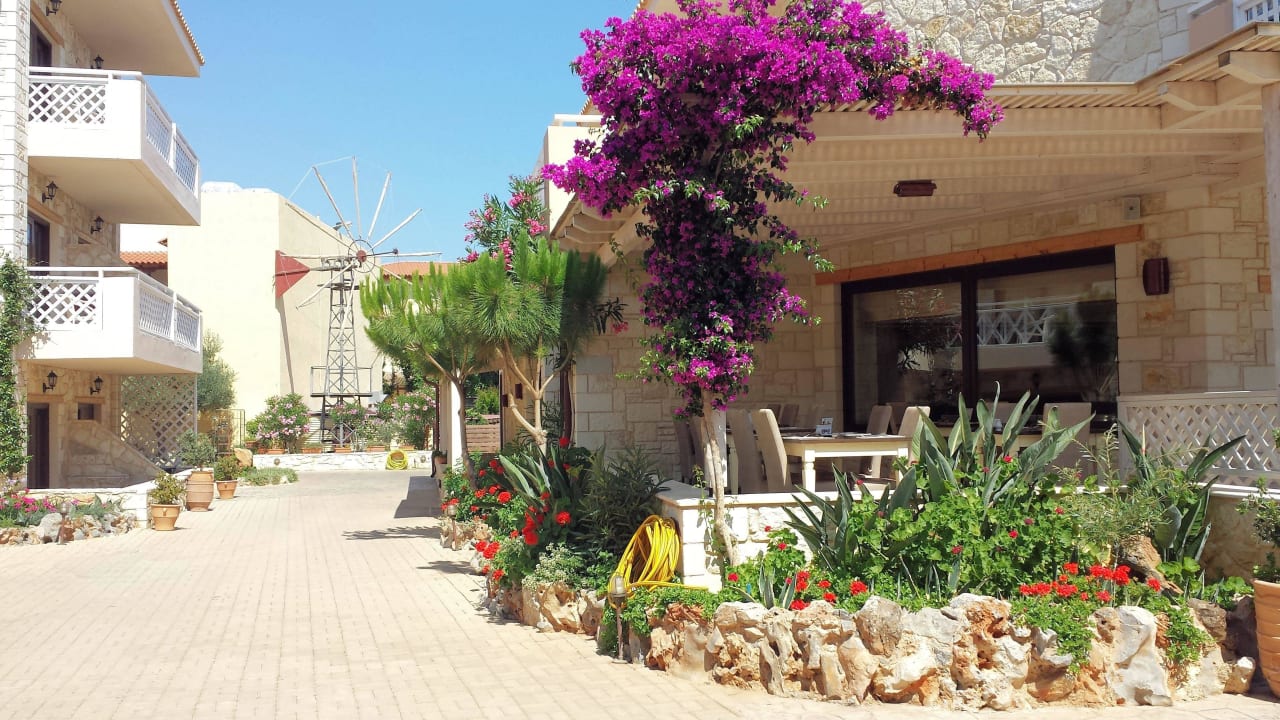 Gartenanlage Cactus Royal