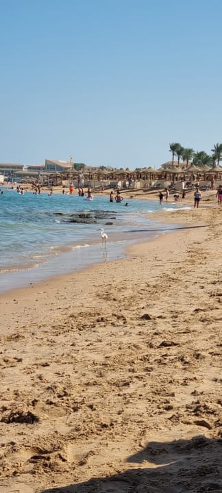 Strand Hotel JAZ Makadi Star & Spa